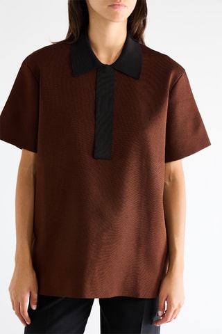 Polo - Marron