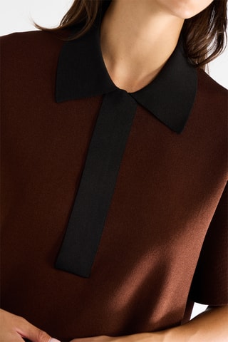 Polo - Marron