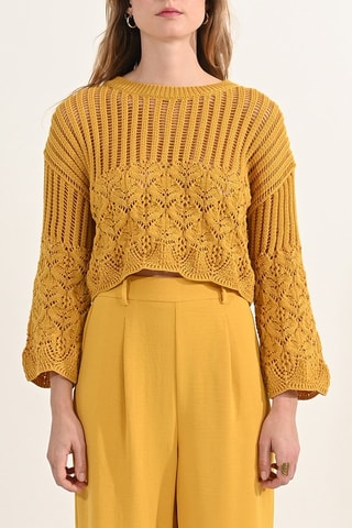 Pull - Moutarde - Molly Bracken