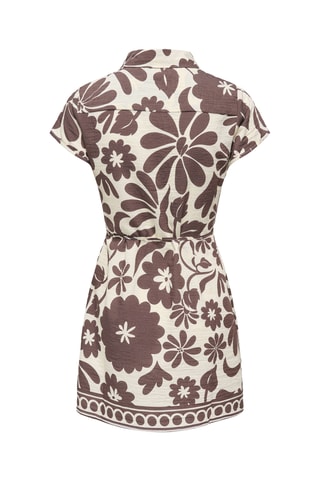 Vestido camisero - Beige y marrón