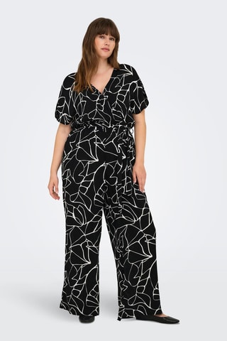 Mono - Negro