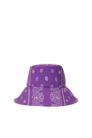 Bob - Violet