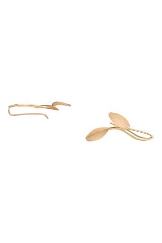 Brincos Folhas acetinadas - Ouro amarelo