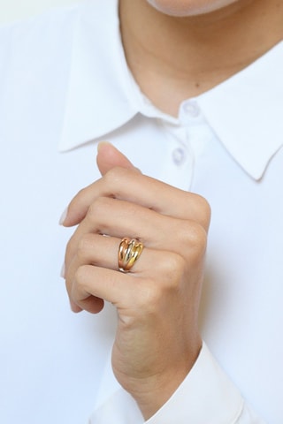 Anel Trianon - Ouro amarelo, ouro rosa e ouro branco