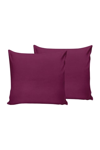 2 federe in cotone 61 fili/cm² - Viola
