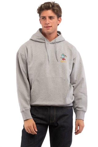 Sweat à capuche - Gris
