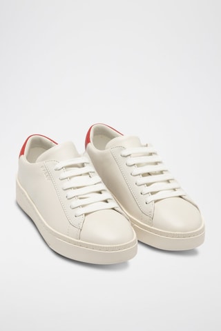 Baskets en cuir de veau - Blanc