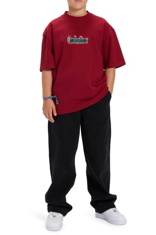 T-shirt en coton biologique - Rouge - Quiksilver