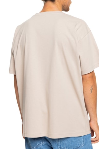 T-shirt en coton biologique Vintage Omni And Logo - Beige - Quiksilver