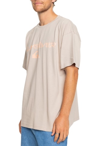 T-shirt en coton biologique Vintage Omni And Logo - Beige - Quiksilver