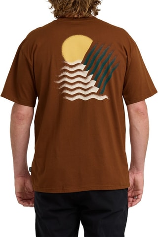 T-shirt regular en coton biologique Canyons - Marron - Billabong
