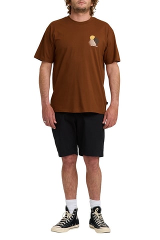 T-shirt regular en coton biologique Canyons - Marron - Billabong