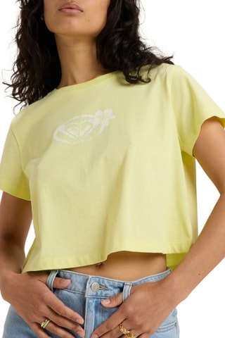 T-shirt cropped en coton biologique - Pistache - Roxy