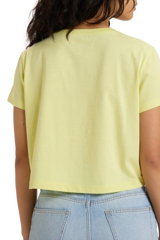 T-shirt cropped en coton biologique - Pistache - Roxy