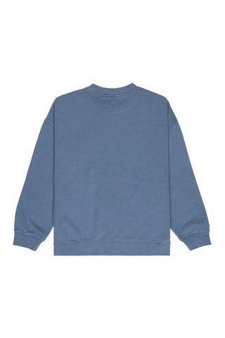Sweat en coton biologique Essential - Bleu-gris - Quiksilver