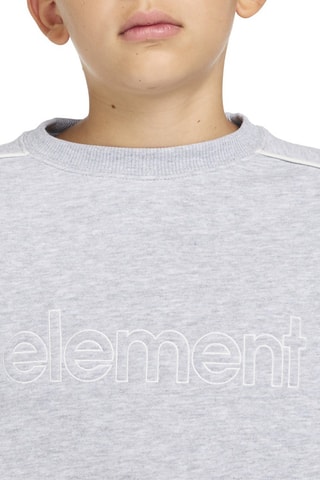 Sweat Cornell 90s - Gris chiné - Element