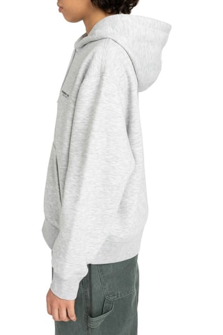 Sweat à capuche Co Po W - Gris chiné - Element