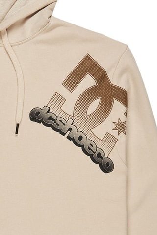 Sweat à capuche - Beige - DC Shoes