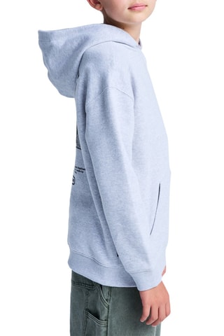 Sweat à capuche - Gris clair - Element