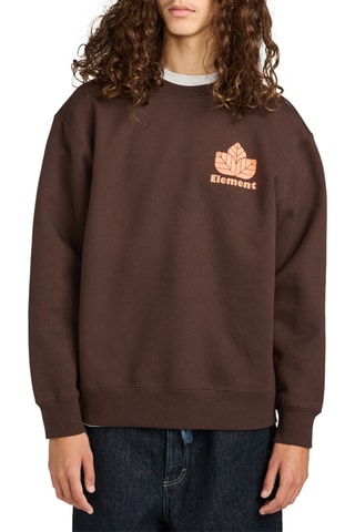 Sweat polaire - Marron - Element