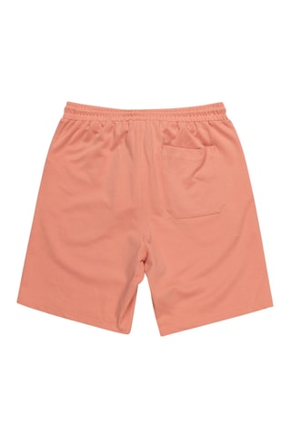 Short regular polaire - Rose - Quiksilver