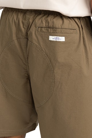 Short cargo en coton biologique Mainline - Marron - Element