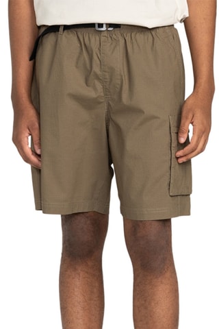 Short cargo en coton biologique Mainline - Marron - Element