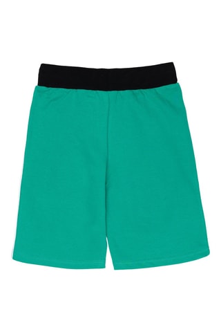 Bermuda polaire - Vert
