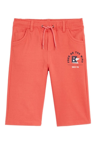 Bermudas - Coral