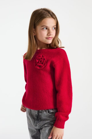 Jersey - Rojo