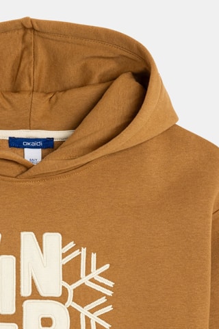 Sudadera con capucha - Marrón