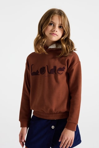 Sudadera con capucha - Marrón