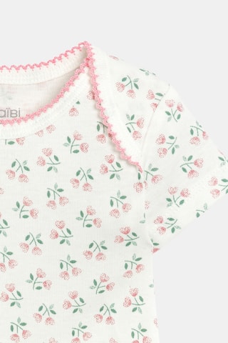3 bodis - Rosa