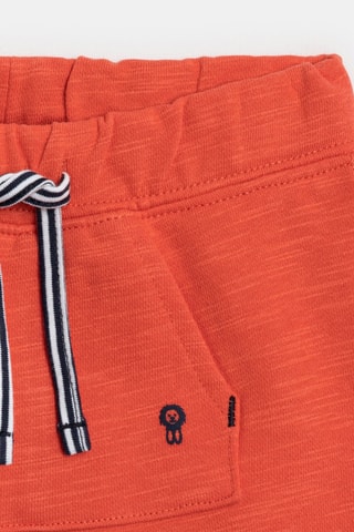 Short - Coral