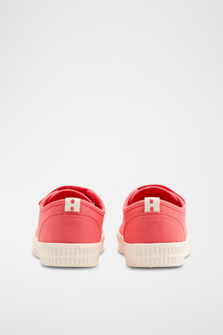 Tenis - Coral