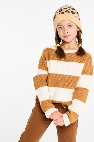 Jersey - Beige y marrón claro - Okaïdi