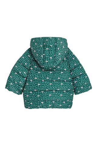 Anorak con capucha - Verde - Obaibi