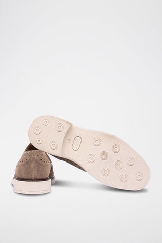 Derbies de piel - Topo