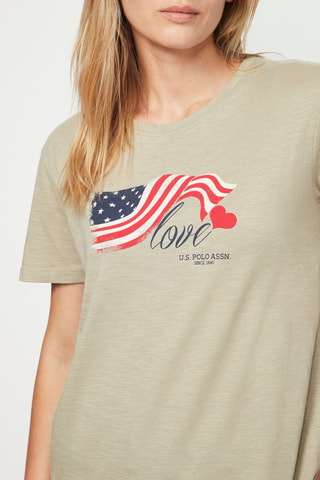 Camiseta - US Polo - Gris