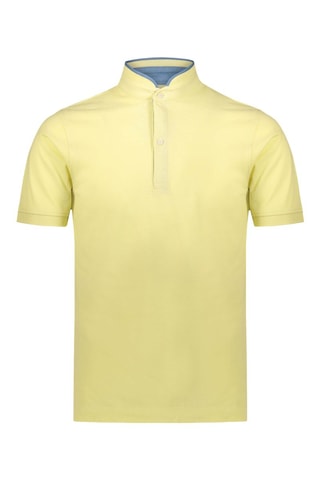Polo - Azul y verde
