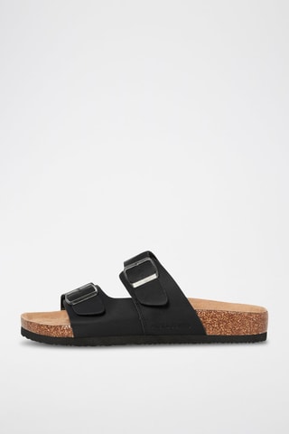 Mules - Anthracite