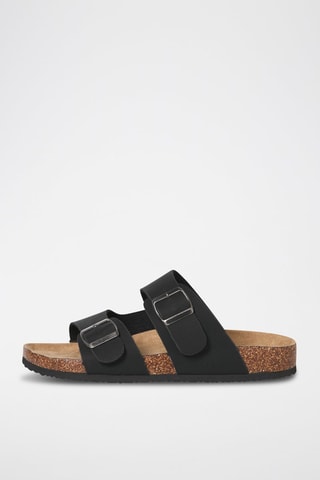 Mules - Anthracite