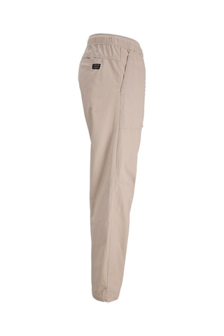 Pantalon regular en coton biologique - Beige