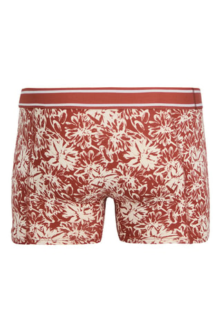 3 boxers - Marron et bleu foncé