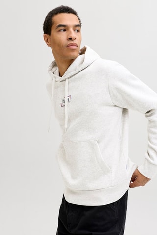 Sweat regular en coton biologique à capuche - Gris clair chiné