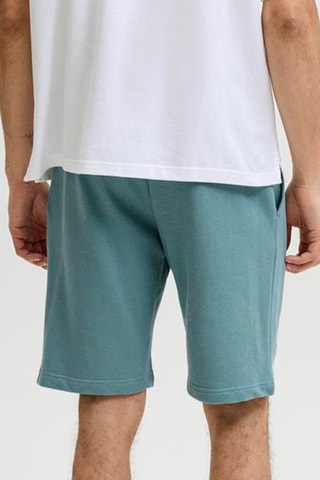 Short regular en coton biologique - Bleu clair