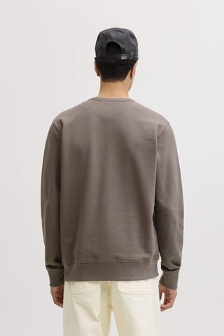 Sweat relaxed en coton biologique - Marron
