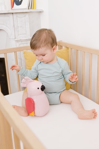 Peluche musicale Les Animaux Musicaux - Paris la Perruche - Dès la naissance