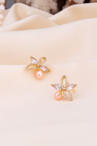 Puces - Zircons