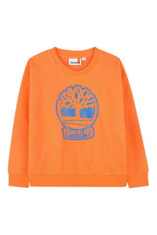 Sweater - Oranje